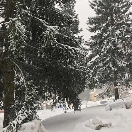 Svoboda nad ÚpouJulie 1アパートメント エクステリア 写真